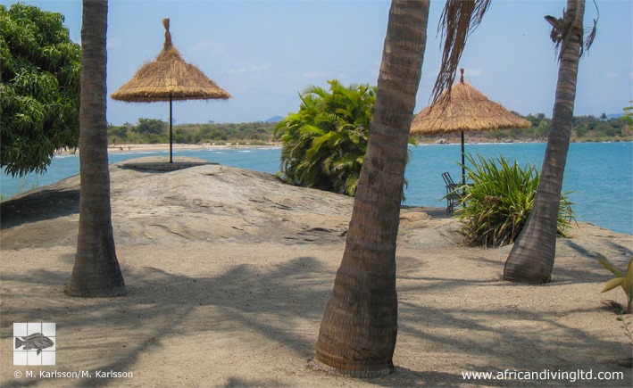 African Diving Fish Station, Katoba Rock 06